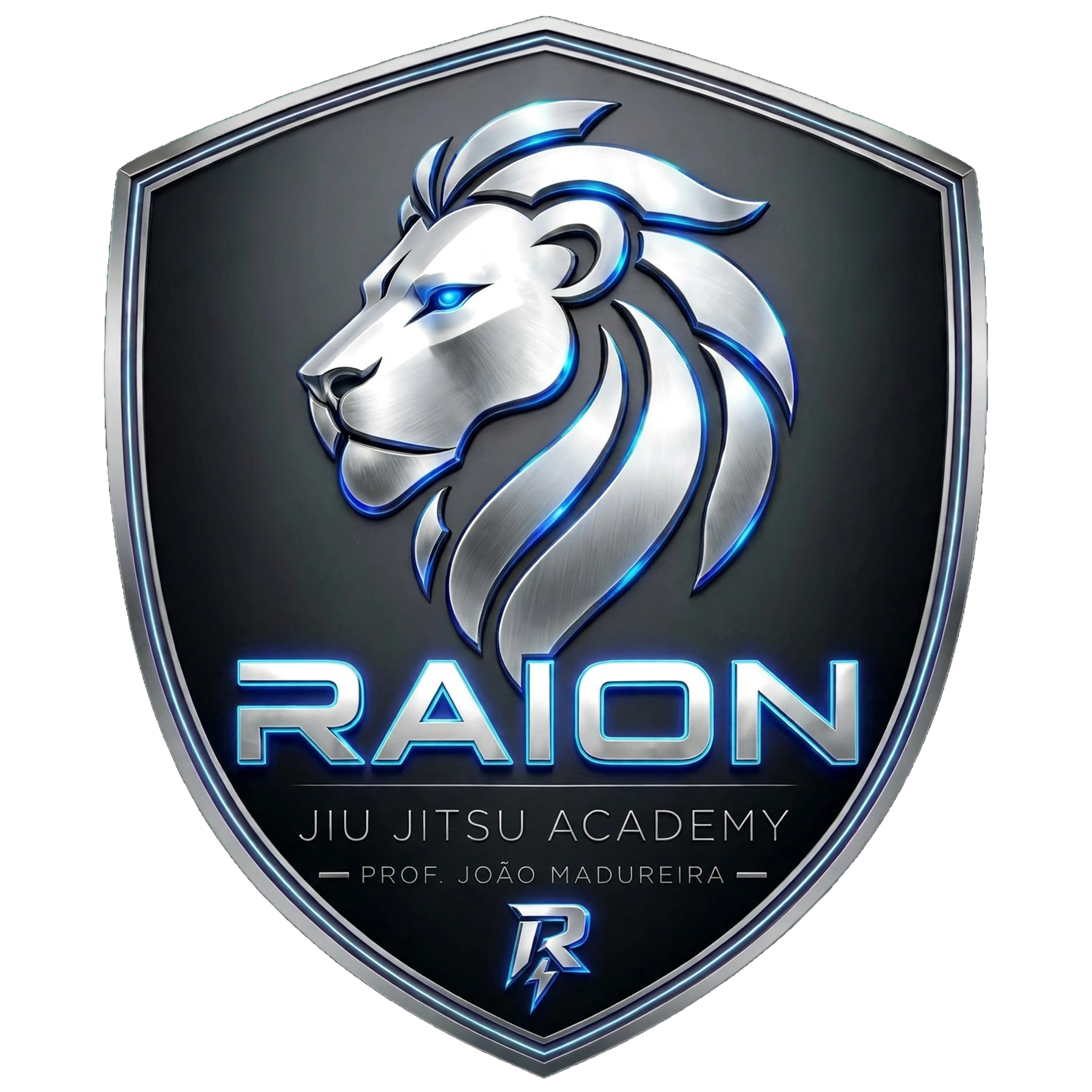 Raion Jiu Jitsu Academy